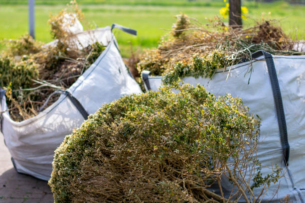 Best Junk Removal and Recycling  in Glennville, GA